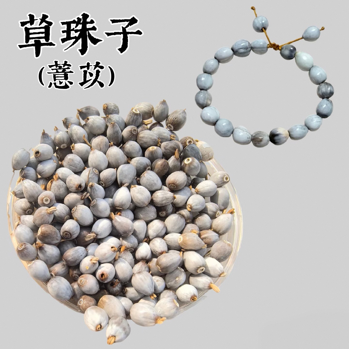 Natural Coix Seed Beads for Bracelets - Unique in Every Grain, Natural Art on Your Wrist 500 Grains